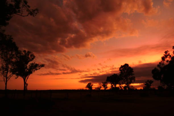istock Sunset on the Property 1971524248