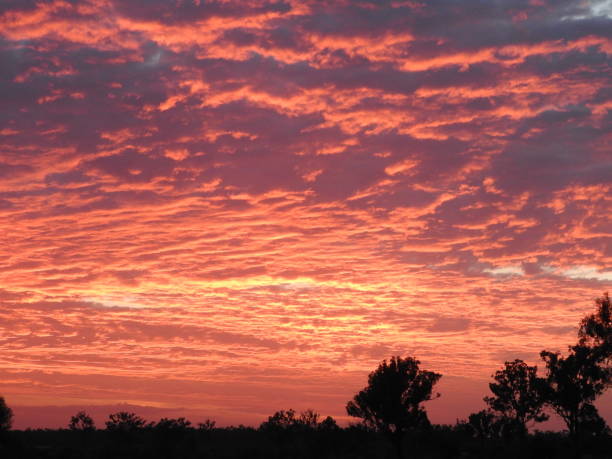 istock Sunset on the Property 1971525306