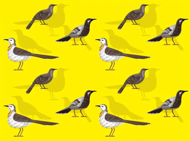 Vector illustration of Bird Wattlebird Cartoon Cute Seamless Wallpaper Background