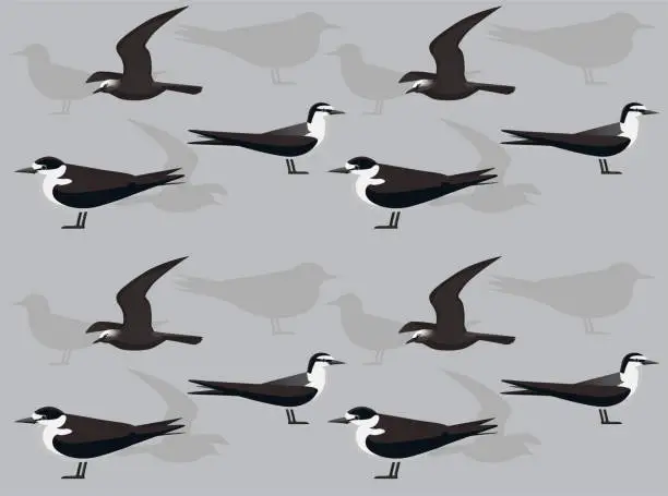 Vector illustration of Bird Sooty Tern Noddy Cartoon Cute Seamless Wallpaper Background
