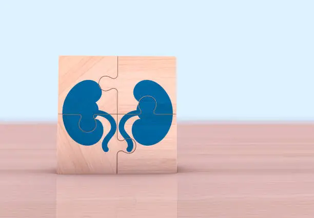 Wooden puzzle cubes with kidney icon.