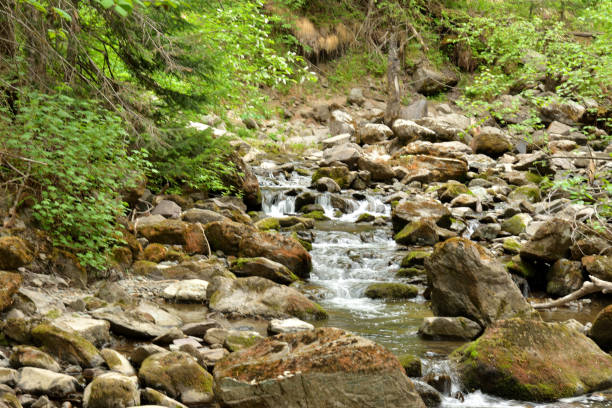 A small river flows down from the mountains in a stormy cascade of waterfalls through a dense summer forest. Tevenek River (Third River), Altai, Siberia, Russia.