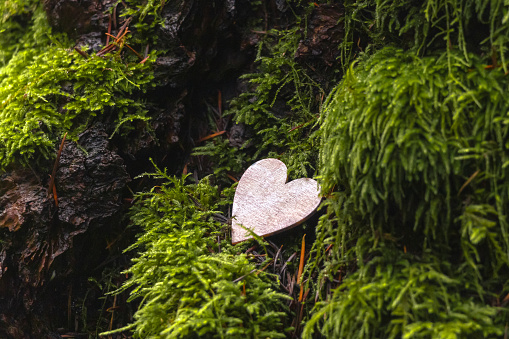 Mens feet standing on grass with small heart