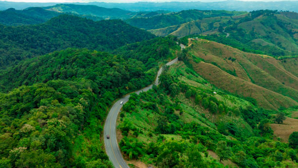 aerial view of dark green forest road and white electric car natural landscape and elevated roads adventure travel and transportation and environmental protection concept - thailand forest outdoors winding road стоковые фото и изображения