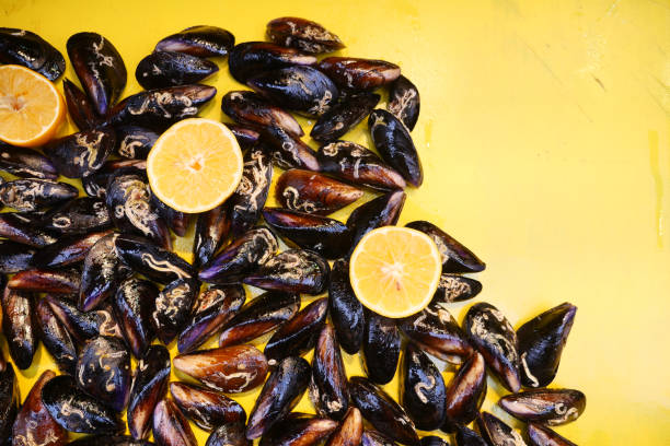 Fresh Black Shell Recipe With Lemon Turkish Food.