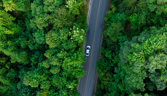 Aerial view of dark green forest road and white electric car Natural landscape and elevated roads Adventure travel and transportation and environmental protection concept