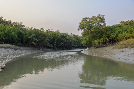 Beautiful canal going through the Sundarbans forest in Bangladesh.