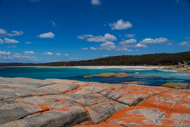 istock Bay of Fires, Tasmania - Australia 1971795509