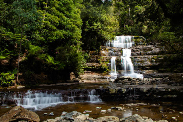 istock Liffey Falls Tasmania Australia 1971795514