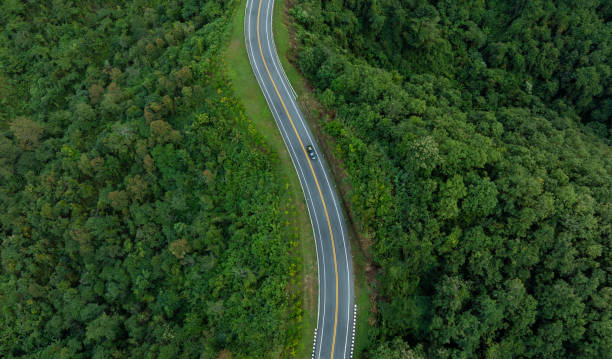 aerial view of road and dark green forest natural landscape and elevated traffic roads adventure travel and transportation ideas for the environment - thailand forest outdoors winding road стоковые фото и изображения