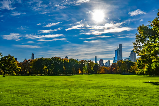Golden autumn in Central Park, New York City, with skyline.