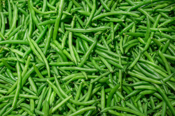 close up on green bean pod as food background - green bean bean pod nobody imagens e fotografias de stock