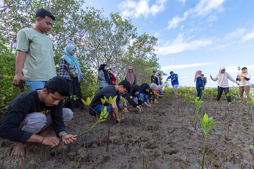 Aceh Besar - Indonesia. Jan 27, 2024\n\nstudent activities carried out planting mangrove seedlings as an effort to conserve mangrove forests in Lamnga village, Baitussalam subdistrict, Aceh Besar.