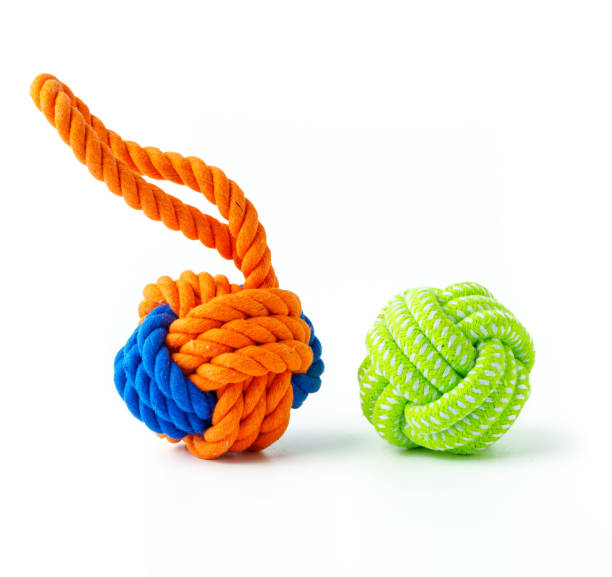 istock Dog pet toy isolated on white background 1971915104