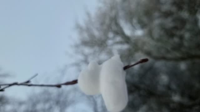VERTICAL Shaped frozen snow ducks decoration hanging from bare winter tree branches