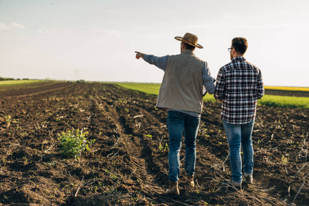 istock farmers on field 1971956977