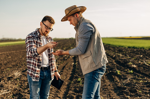 Two Caucasian farmers checking soil quality in field together.