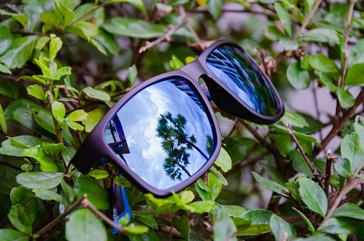 reflection of a palm tree in the lenses of sunglasses. Sunglasses on a natural green background, with the reflection of a palm tree in the glasses