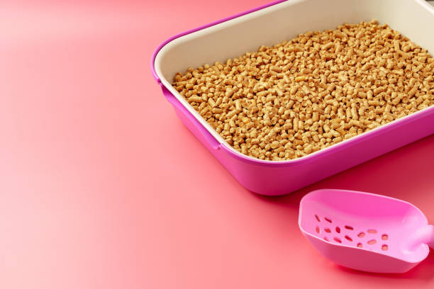 istock Pet litter box with bio filler on pink background 1971995363