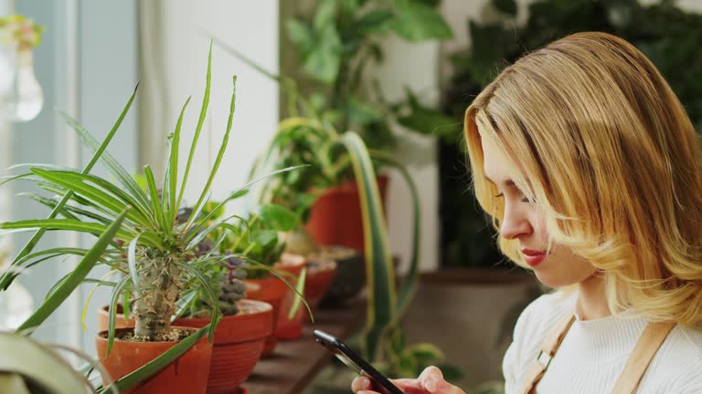 Florist taking photo of flowers. Woman gardener using phone camera, making photos of blooming houseplant, flower shop. Botanist greenhouse worker.