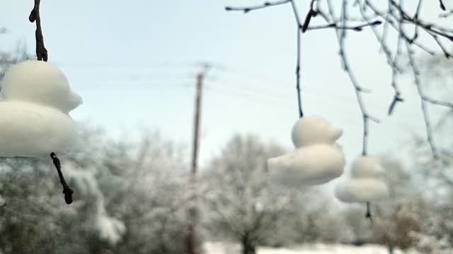 Shaped snow ducks decoration suspended from bare winter tree branches