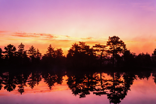 Sunrise over a forest lake with beautiful light