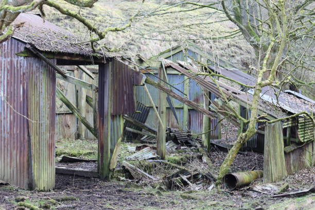 istock Derelict, partially collapsed metal shed 1972049509