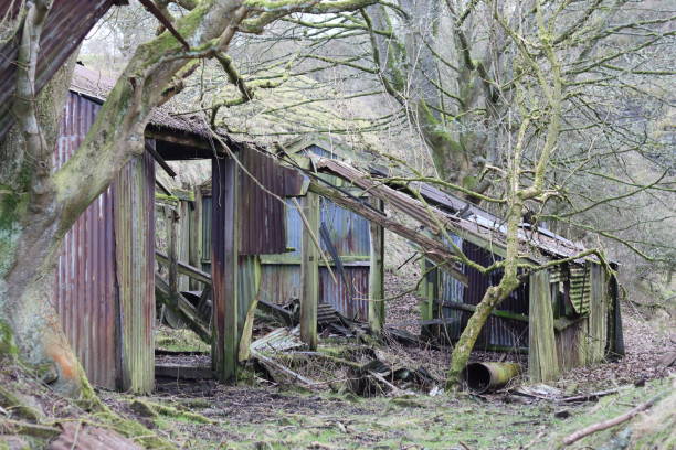 istock Derelict, partially collapsed metal shed 1972050545