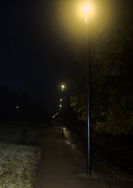 istock streetlights in public park for walkers 1972073889