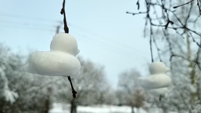 Shaped snow ducks sculpture hanging from bare winter tree branches
