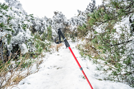 A hiking pole stuck in the snow mountain