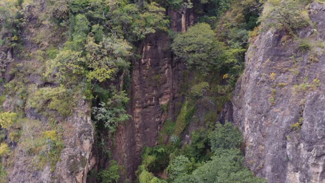 Drone view of person rappelling down cliff face. Aerial view, backing, reveals rugged and steep terrain with lush green trees in Central America. Mountain climbing and extreme sports.