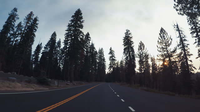 POV car driving in Yosemite National park, Tioga pass