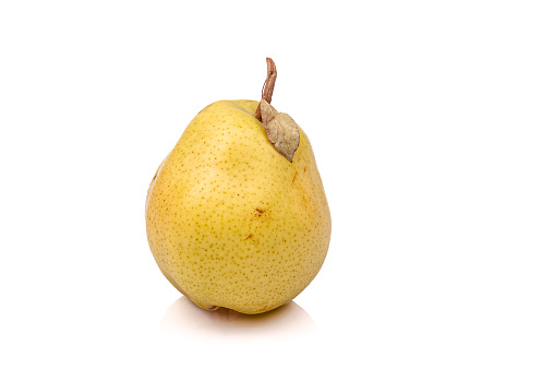 Two yellow ripe pears on gray background.