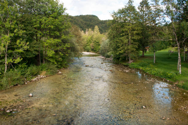 istock Sava River Landscape During a Sunny Summer Day in Slovenia 1972108209