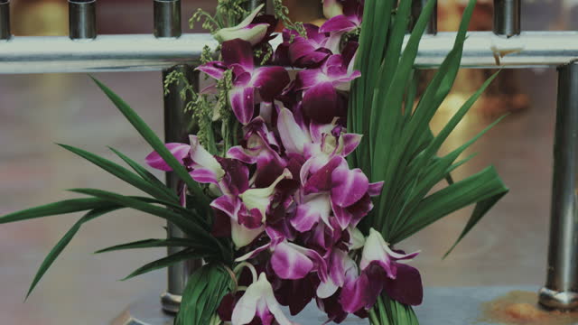 Freshly cut orchids