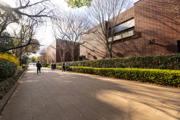 Tokyio, Japan. January 2024. panoramic view of people walking in an alley of Ueno Park in winter