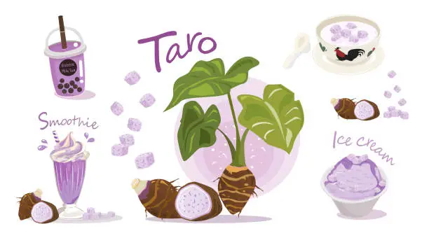 Vector illustration of Taro Delights: Bubble Tea, Smoothie, and Ice Cream Vector