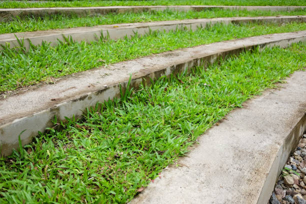 istock Curved stair steps granite concrete seating with grass in outdoor park 1972145631