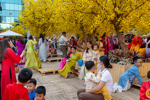 Ho Chi Minh city, Vietnam - 30 Jan 2024: Vietnamese lunar new year. People wear Vietnam tradition ao dai to take pictures and enjoy on street with yellow flower apricot in Tet holidays.