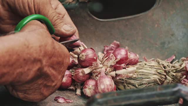 Purple onions for sale