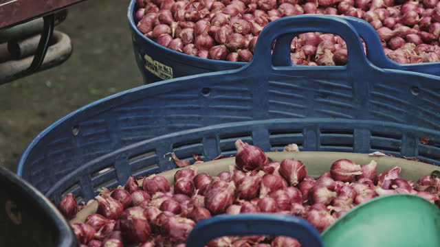 Onions in the market for sale