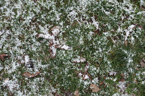 Top view of lawn covered with fallen leaves and snow in November