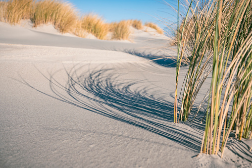 Sand dunes in the North sea region
