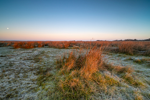Schiermonnikoog early winter morning sunrise landscape at the salt marsh during a cold but beautiful winter morning. Twice a day the salt marsh is filled with water from the Waddensea.