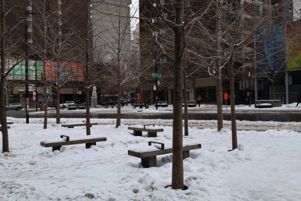 Low Temperatures and snows covered Montreal on a January day!