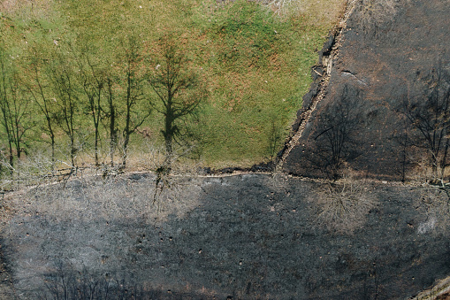 A burnt natural area after a forest fire as seen from above