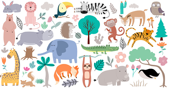 Set of cute jungle animals.