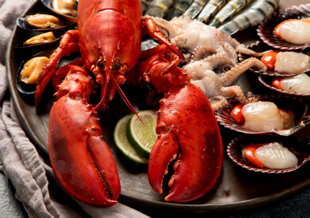 istock Fresh seafood on a plate. Lobster, shellfish, prawns. 1972246918