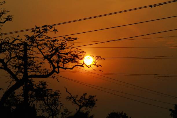 Silhouette view of nature